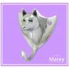 PERCHERO HUSKY EN ALUMINIO PULIDO